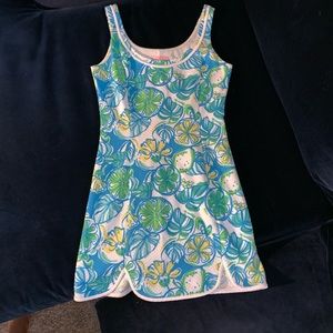 Sweet and Sour Lola knit shift dress size small